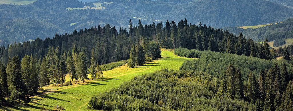 Pieniny - krajobraz